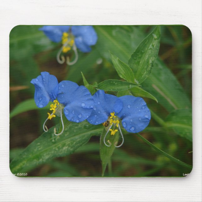 Asiatic Dayflower Blue WIldflower Apparel & Gifts Mouse Pad (Front)