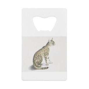 Asiatic Wildcat Happy Birthday Asian Steppe Wild
