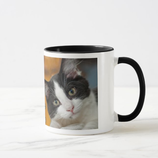Asio and Otis Kitties Mug (Right)