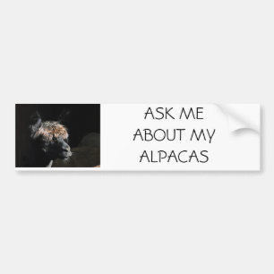 ASK ME ABOUT MY ALPACAS BUMPER STICKER