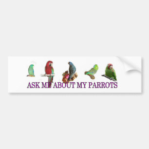 Ask Me About My Parrots Bumper Sticker