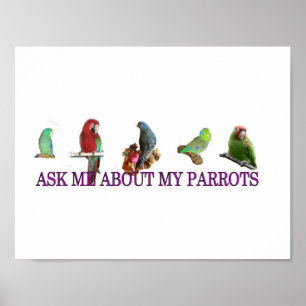 Ask Me About My Parrots Poster