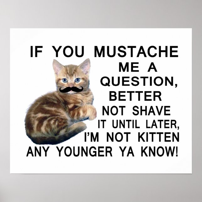 Ask The Kitten With A Moustache A Question Poster (Front)