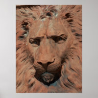 Aslan Lion Carved Stone relief St. Augustine Photo