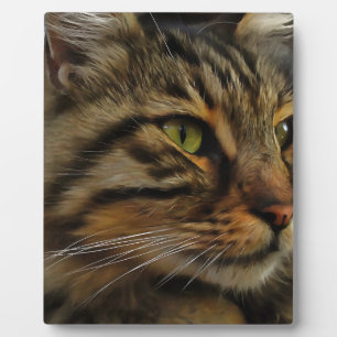 Aslan The Long Haired Tabby Cat Plaque