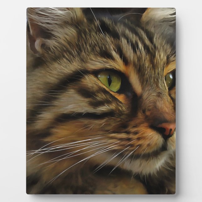 Aslan The Long Haired Tabby Cat Plaque (Front)