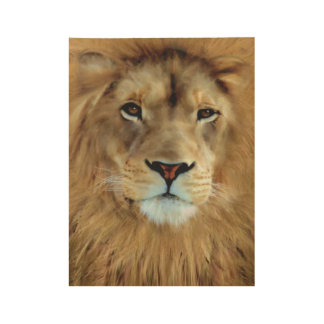 Aslan Wood Poster