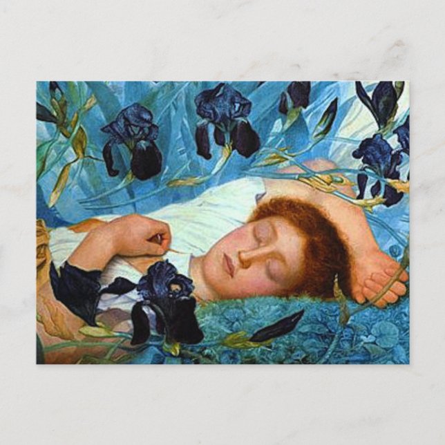 Asleep in the Irises Postcard (Front)