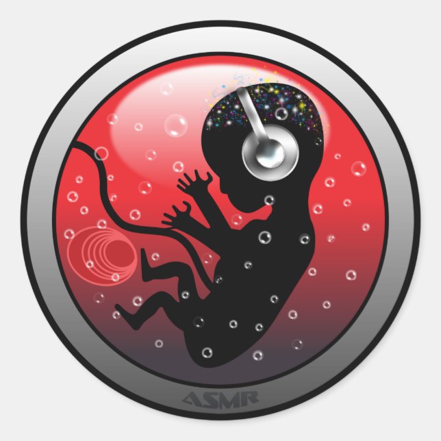 ASMR Origins Classic Round Sticker (Front)