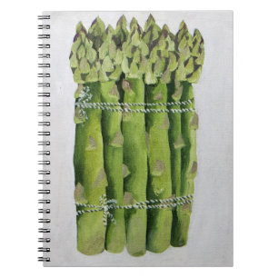 Asparagus 2013 notebook