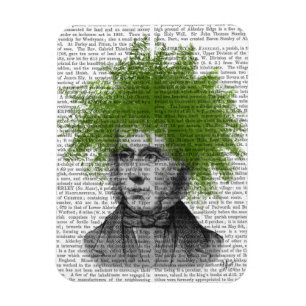 Asparagus Fern Head Plant Head Magnet