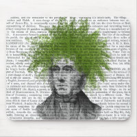 Asparagus Fern Head Plant Head