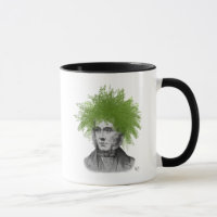 Asparagus Fern Head Plant Head