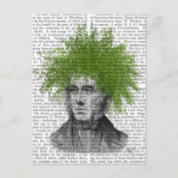 Asparagus Fern Head Plant Head