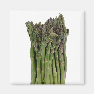 Asparagus Magnet