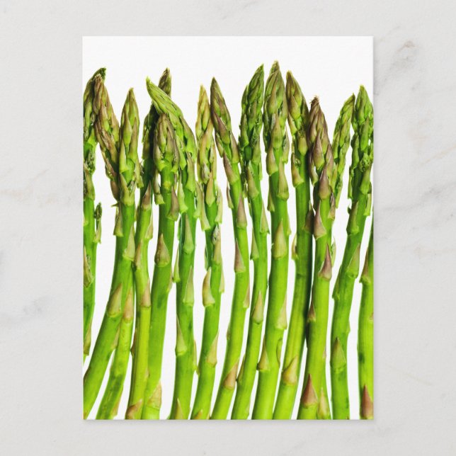 Asparagus on White Customisable - Vegetables Postcard (Front)