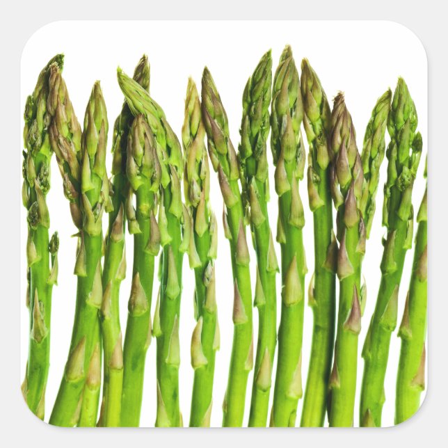 Asparagus on White - Customised Veggie Background Square Sticker (Front)