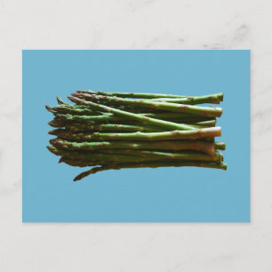 Asparagus Postcard