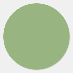 Asparagus (solid color) classic round sticker
