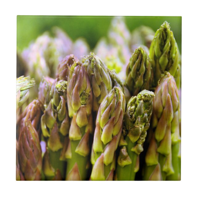 Asparagus Tile (Front)