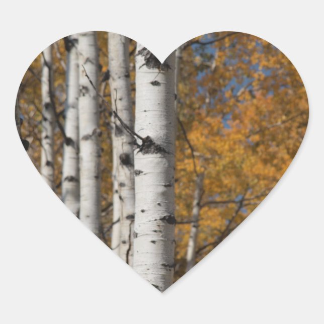 Aspen Alley in Fall Orane Heart Sticker (Front)