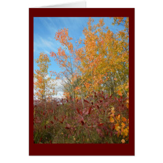 Aspen and Sumac Against Wisconsin Sky Blank Card