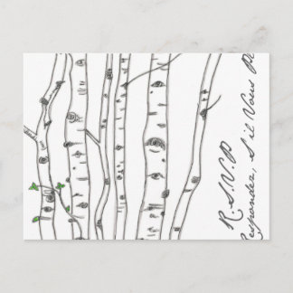 Aspen Birch Tree Grove RSVP Postcard