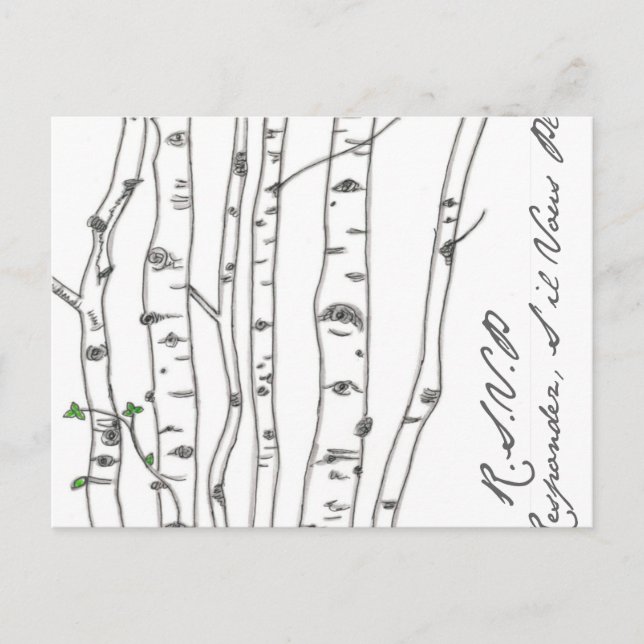 Aspen Birch Tree Grove RSVP Postcard (Front)