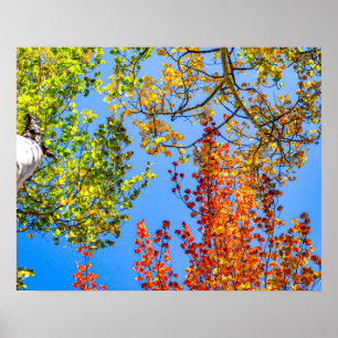 Aspen Color Candy // Fall Leaf Colors Poster