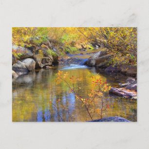 Aspen, Colorado Autumn Creek Landscape Postcard