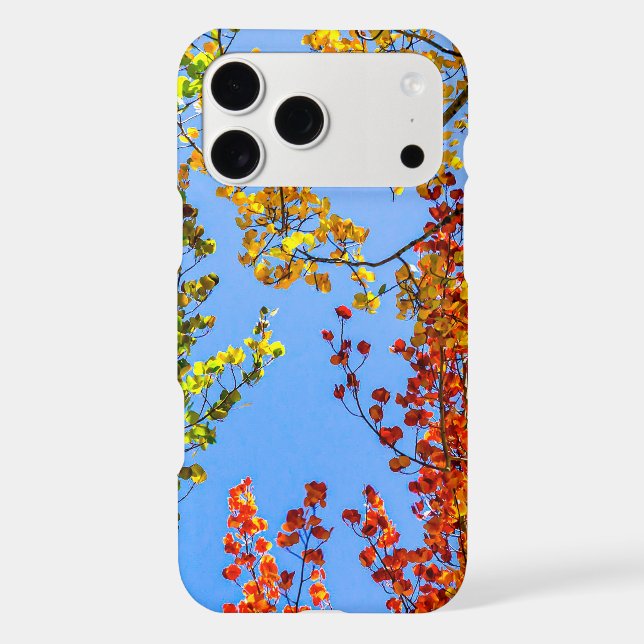 Aspen Colour Candy // Fall Leaf Colours (Back)