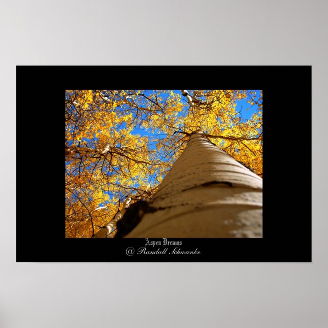 Aspen Dreams Poster (Front)
