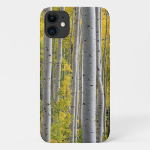 Aspen Fall Colors Tree Trunks Yellow Splendor iPhone 11 Case