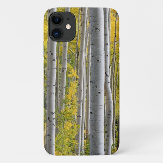 Aspen Fall Colours Tree Trunks Yellow Splendour Case-Mate iPhone Case (Back)