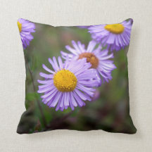 Aspen Fleabane Daisy Flower Pillow