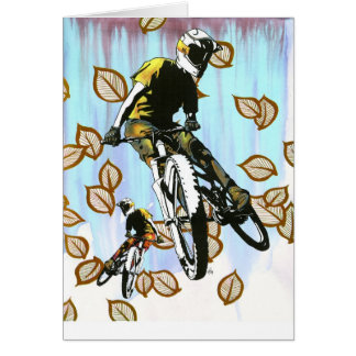 Aspen Folly