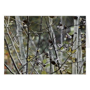 Aspen Forest