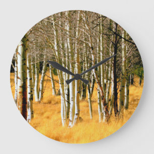 aspen forest clock