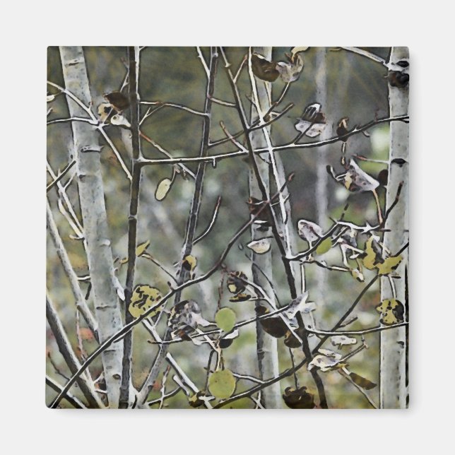 Aspen Forest Magnet (Front)