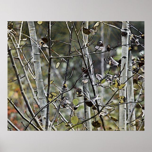 Aspen Forest Poster (Front)