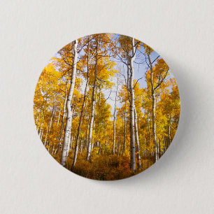 Aspen Groove Yellow Fall Leaves 6 Cm Round Badge