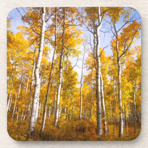 Aspen Groove Yellow Fall Leaves Coaster