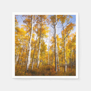 Aspen Groove Yellow Fall Leaves Napkin