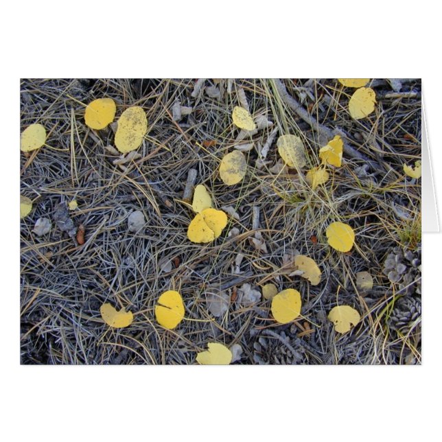 Aspen Ground II card (Front Horizontal)