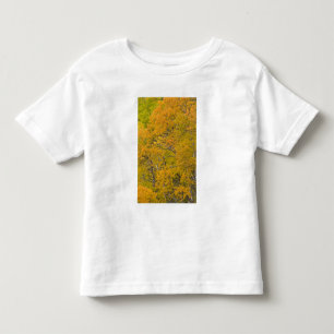 Aspen grove in peak fall colours near East Toddler T-Shirt