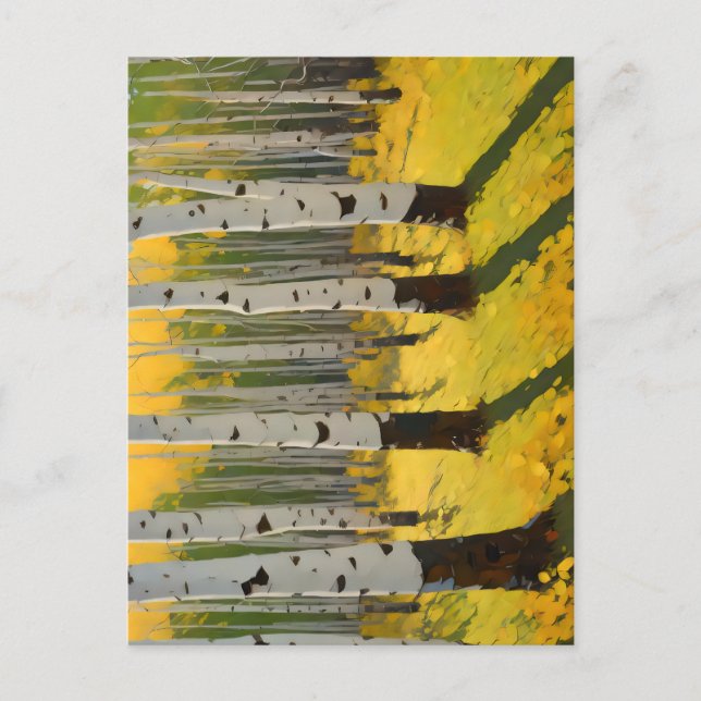 Aspen Grove in the Afternoon Sunlight Postcard (Front)