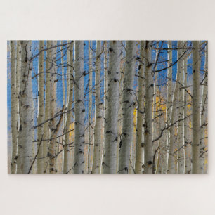 Aspen Groves   Colorado Rocky Mountains Jigsaw Puzzle