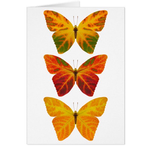Aspen Leaf Butterflies (Front)