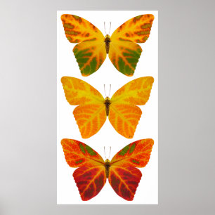 Aspen Leaf Butterflies Poster