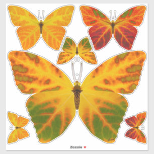 Aspen Leaf Butterfly 1